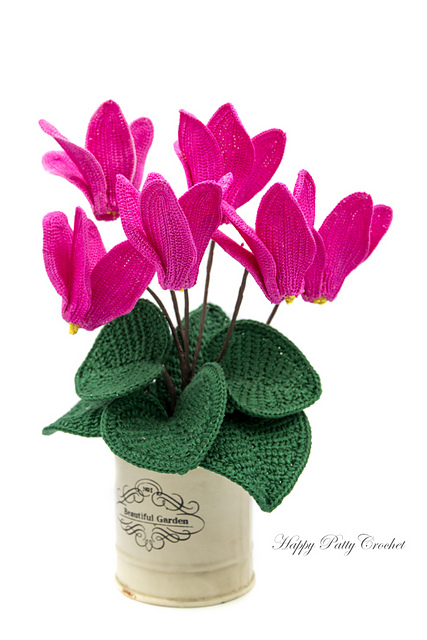 Cyclamen