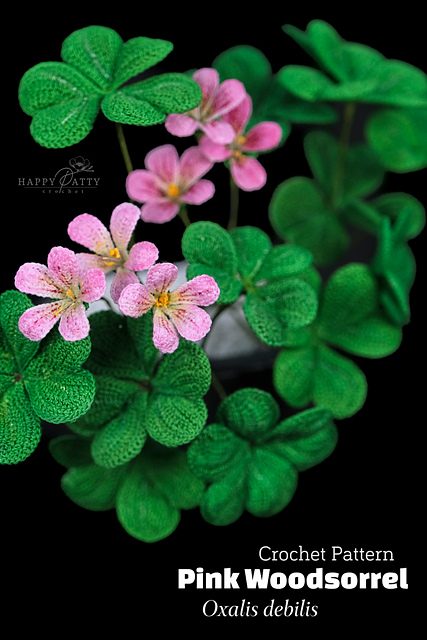 Pink Woodsorrel