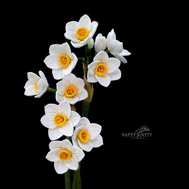 Mini Stem Daffodil