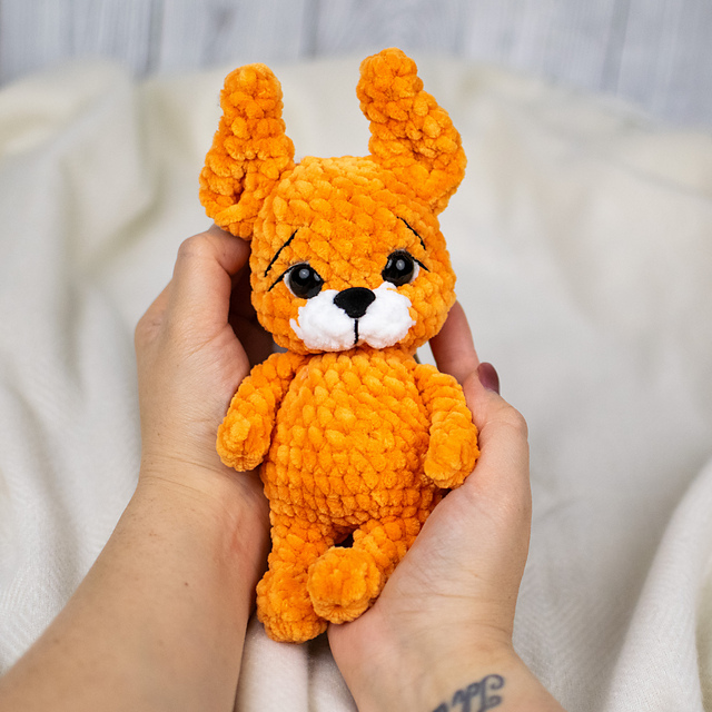 Sunny the Squirrel