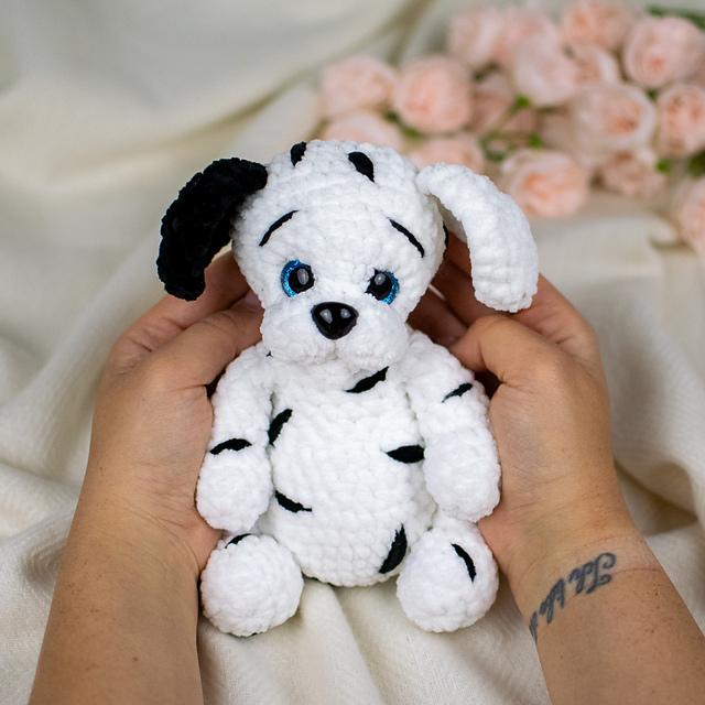 Dalmatian Puppy