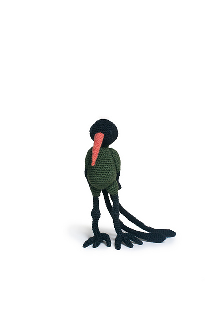 Julian the Doctor Bird