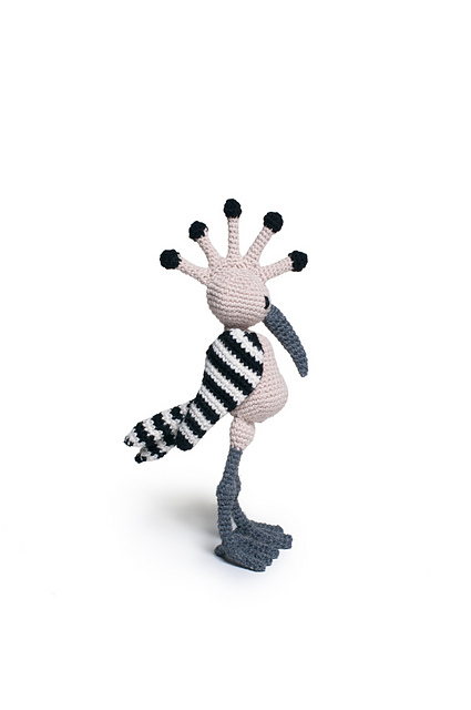 Jacob the Hoopoe