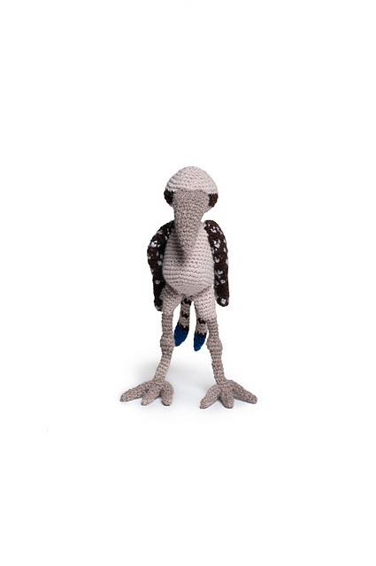 Cooper the Kookabura