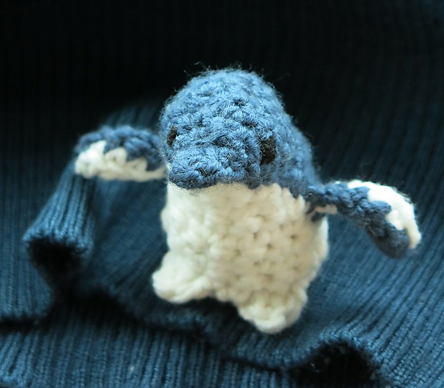 Little Blue Penguin