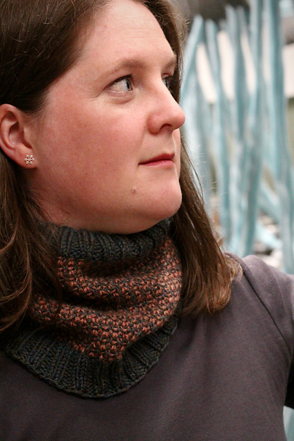 Chameleon Cowl