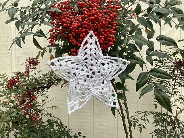 Vincent's Star