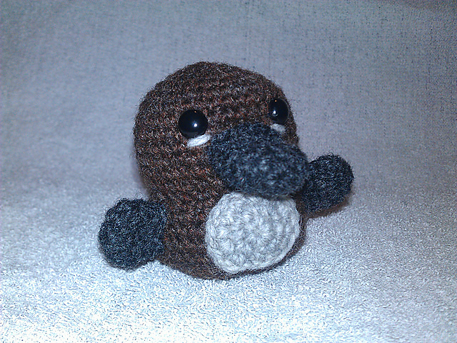 Cute Little Platypus