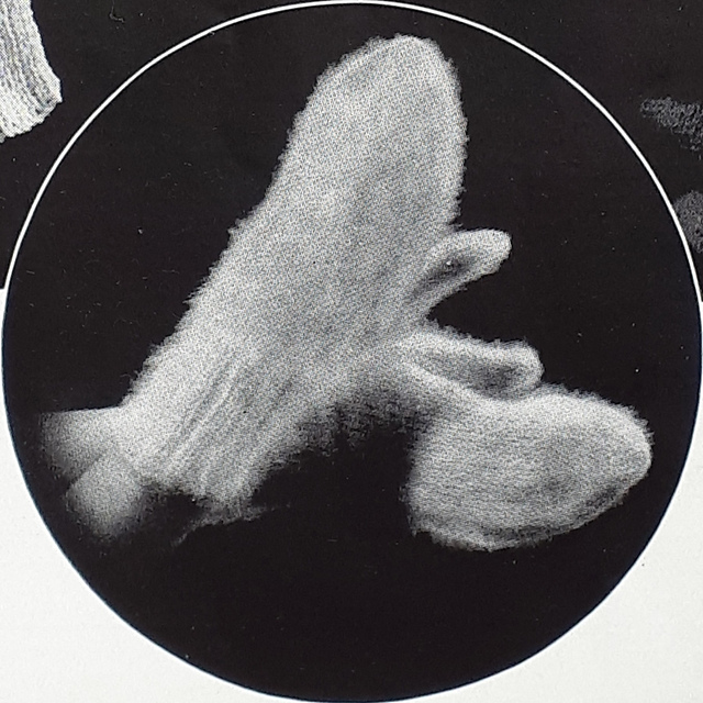 Angora Mitts