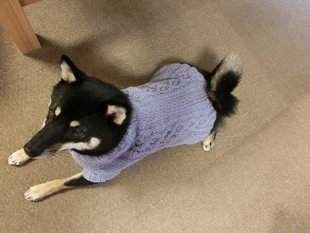 P101.Dog Sweater/SHIBA-DOG