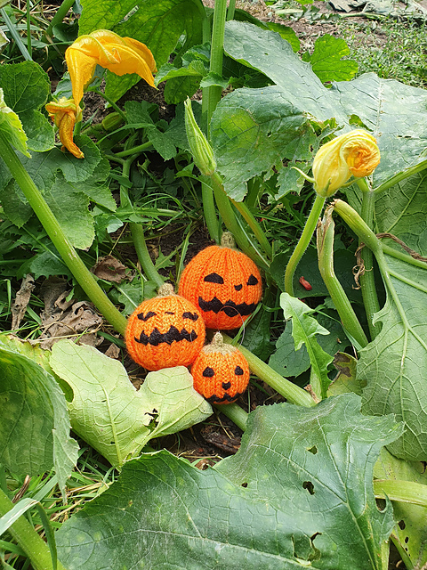 Pumpkin Baubles