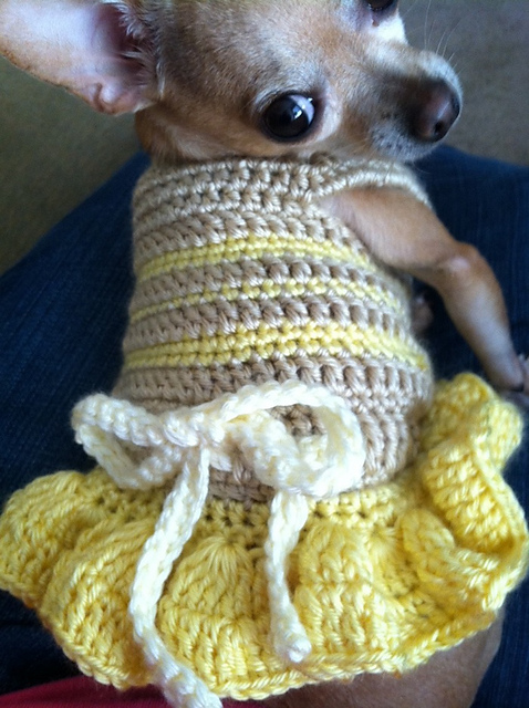 white christmas dresses Free Diva Dog Outfit Crochet Pattern – Mary Maxim main image 1