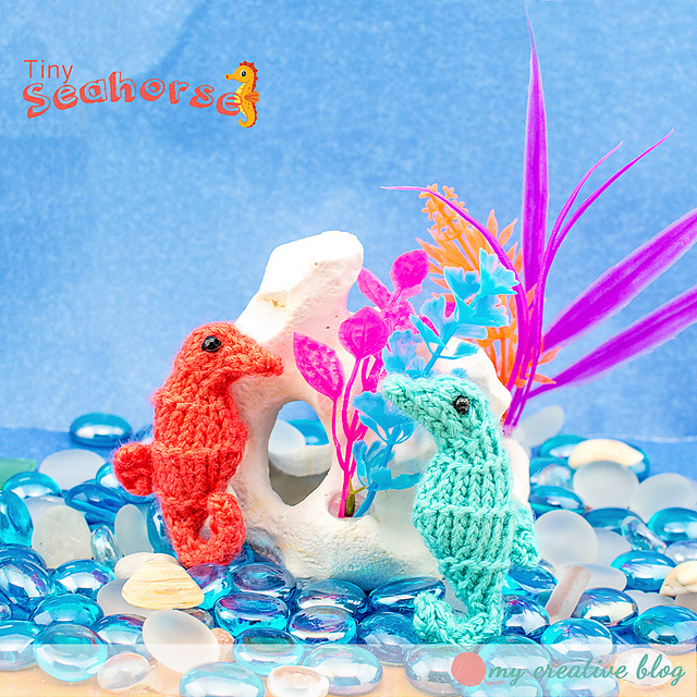 Tiny Seahorse