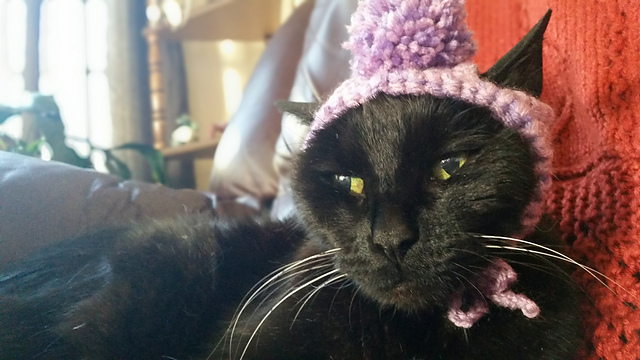 Pom Pom Hat
