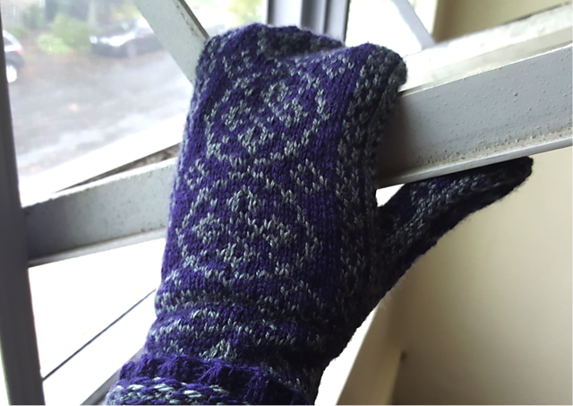 Holne Mittens