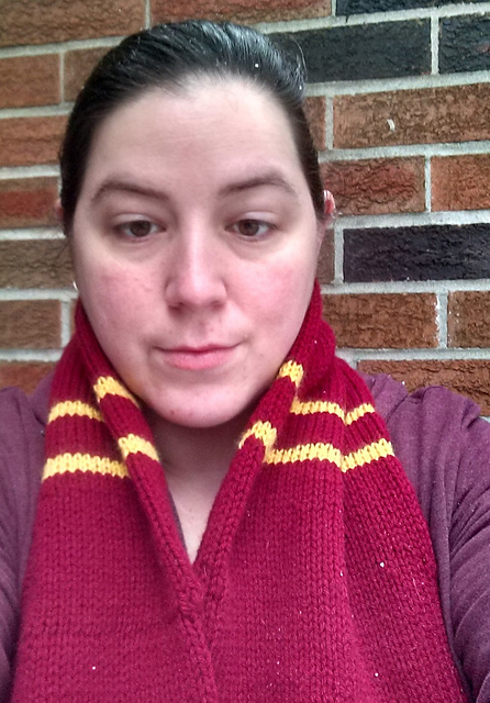 Hogwarts houses infinity scarf