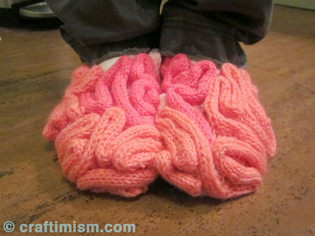 Brainy Slippers