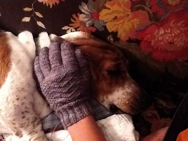 Polperro Gloves