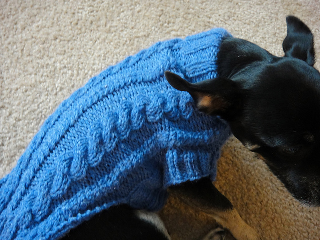 Shelter Me Cabled Dog Sweater