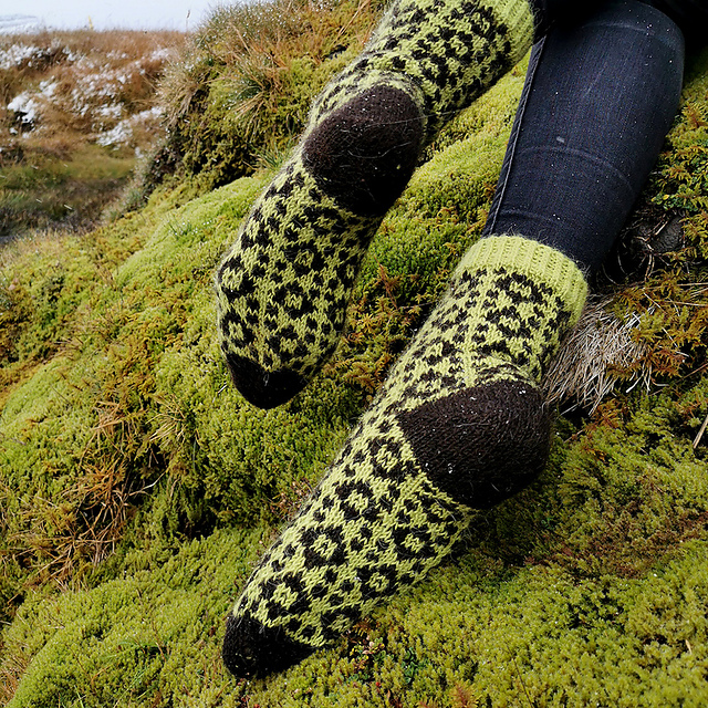 Dýjamosi socks