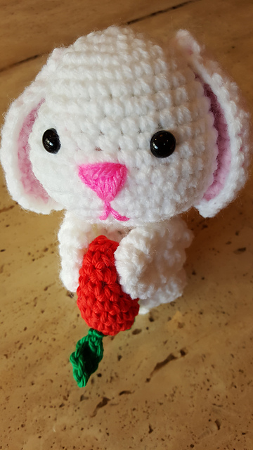 Cute Little Bunny Rabbit
