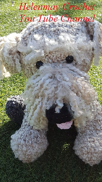 Airedale Terrier Dog