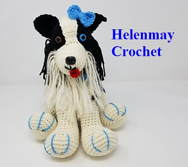 Border Collie Dog