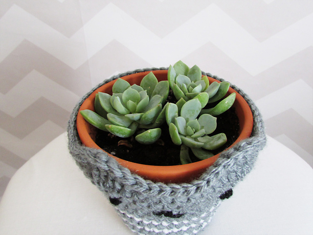 kitty succulent planter cozy