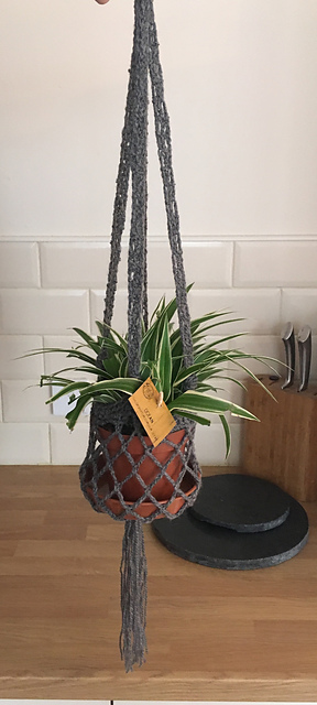 My plant hanger