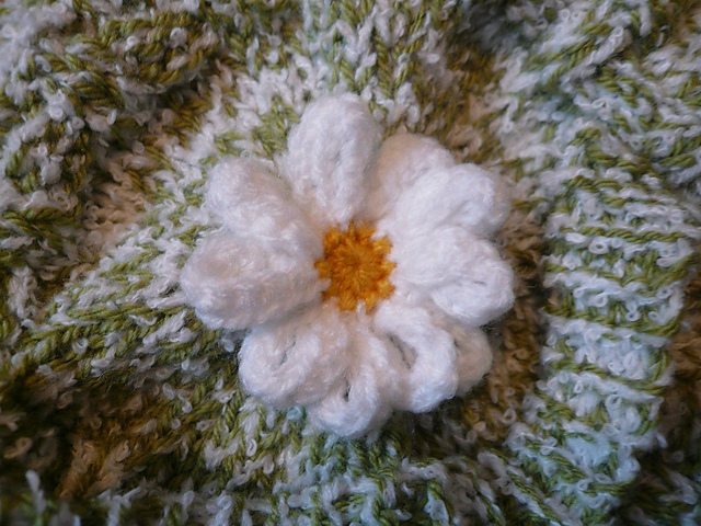 Penny's Daisy