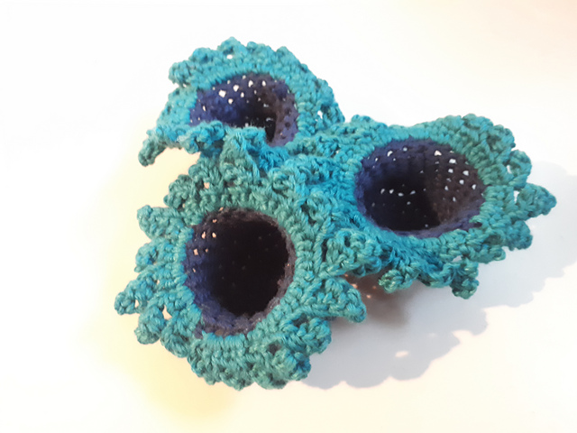 Sea anemone