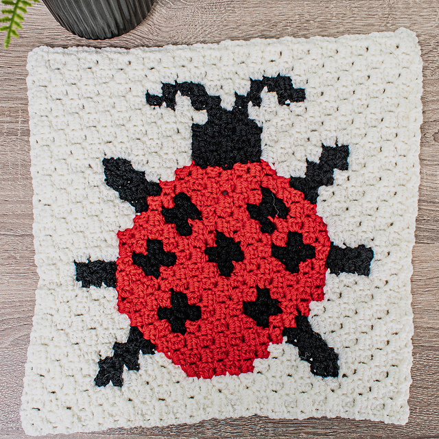 Ladybug C2C Square