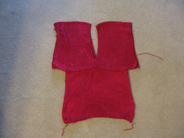 Butterfly Top #77