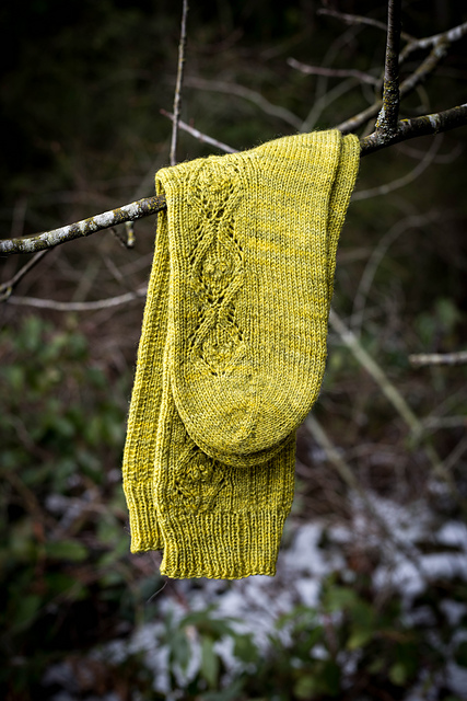 Spring Solstice