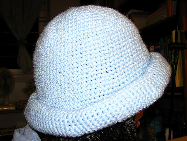 Softly Rolled Hat