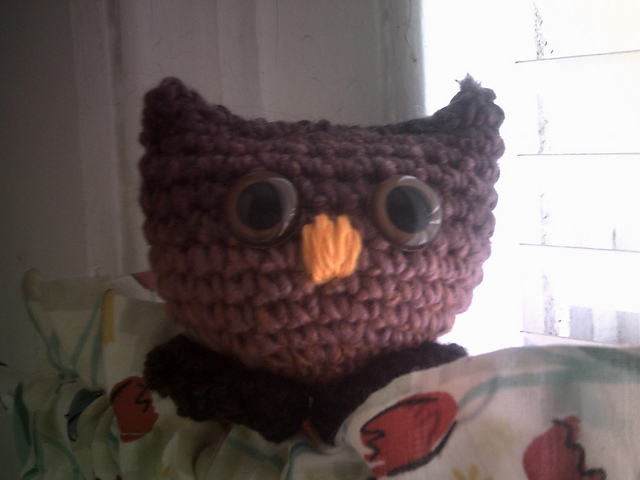 Owls