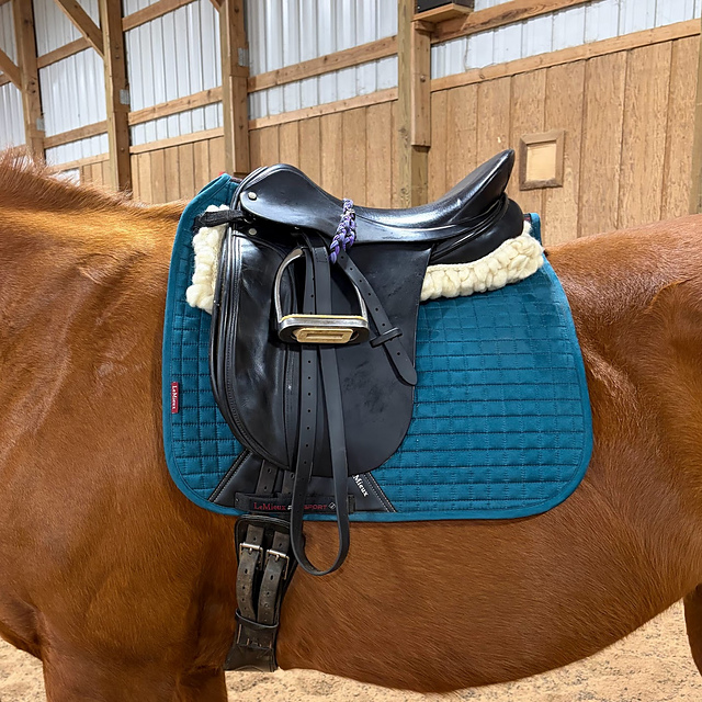 Felted Half Pad