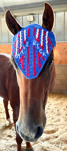 Top Gun Colorwork for Bonnet