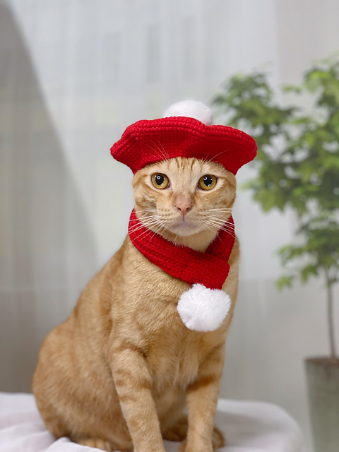 Ravelry: Cat Beret Hat and Scarf Set with Pom Pom pattern by  display picture 2