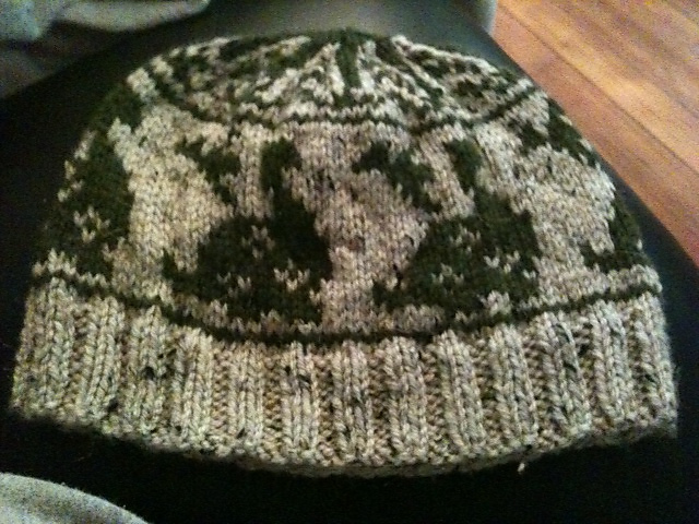 Walk the Dino Hat Knit
