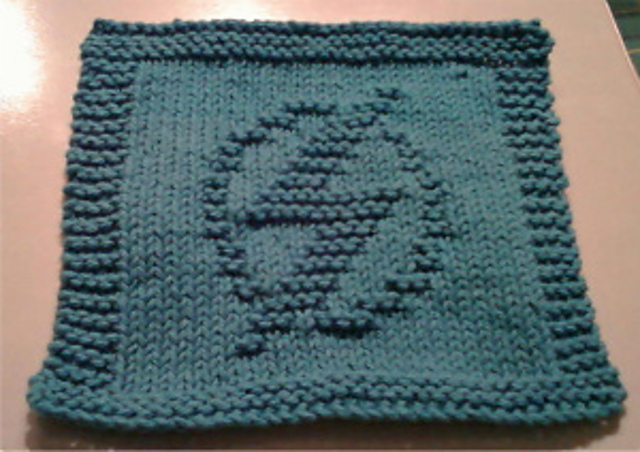 Flash Logo Dishcloth
