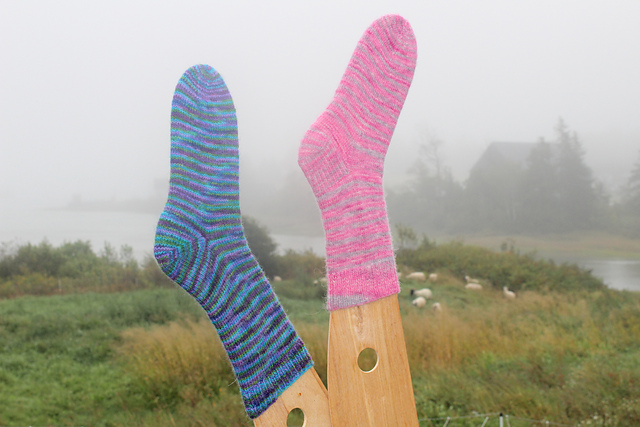 Miss Sardine Queen Sock