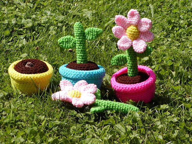 Growing Flowers