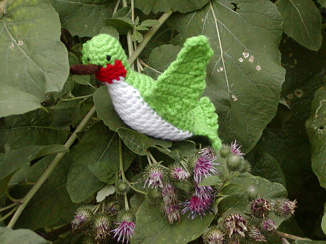 Hummingbird