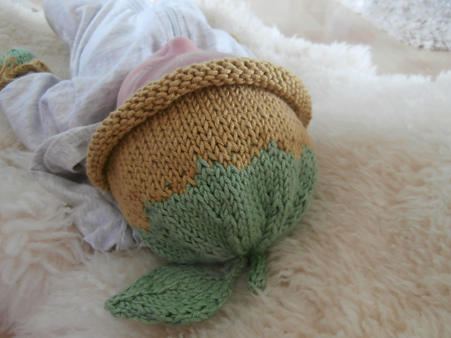 Little sapling Newborn Hat