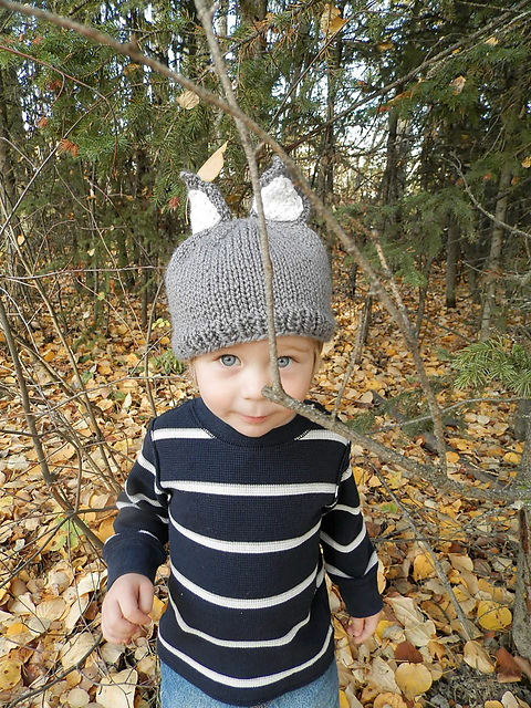 The Big Bad Wolf