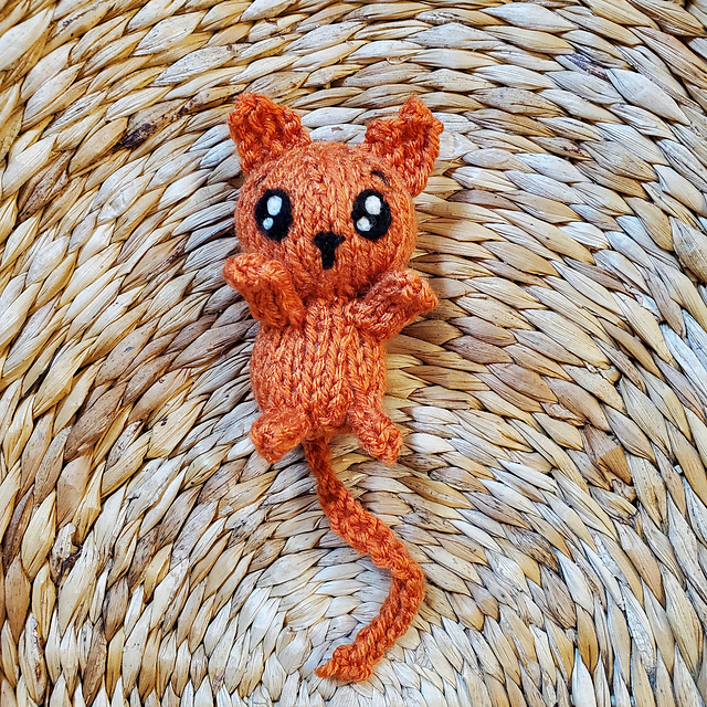 Knit kitten