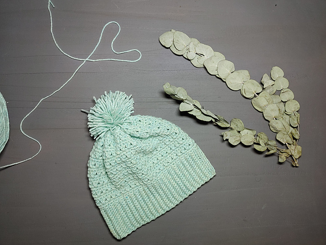 The Winter Seeker Beanie