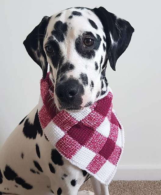 Summer Picnic Dog Neckerchief