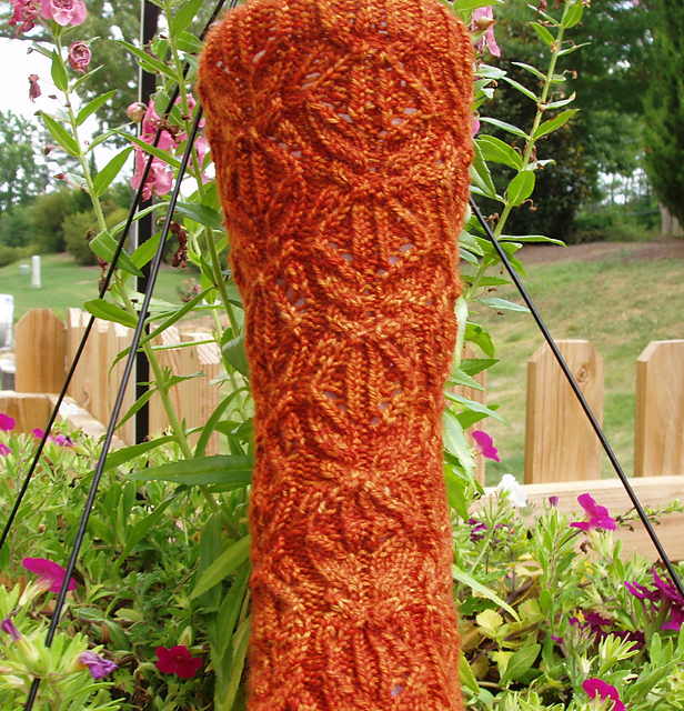 Nectocaris Socks